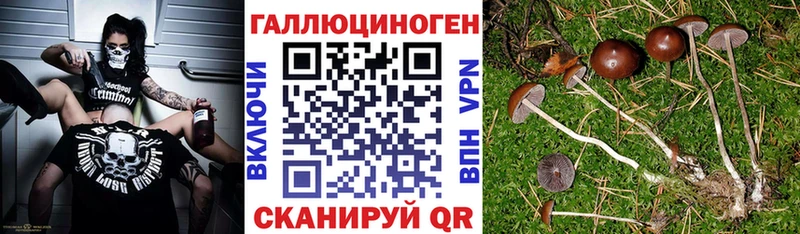 наркошоп  Петушки  hydra ссылки  Псилоцибиновые грибы Psilocybe 